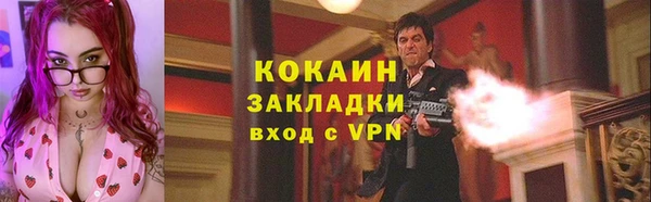 мдпв Вяземский
