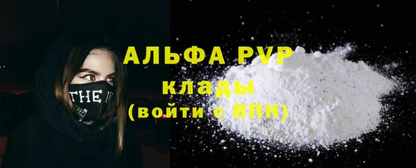 мдпв Вяземский
