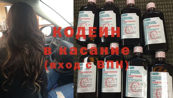 мдпв Вяземский