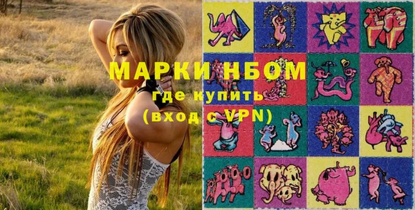 мдпв Вяземский