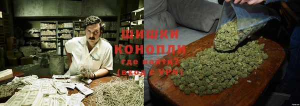 шишки Саяногорск